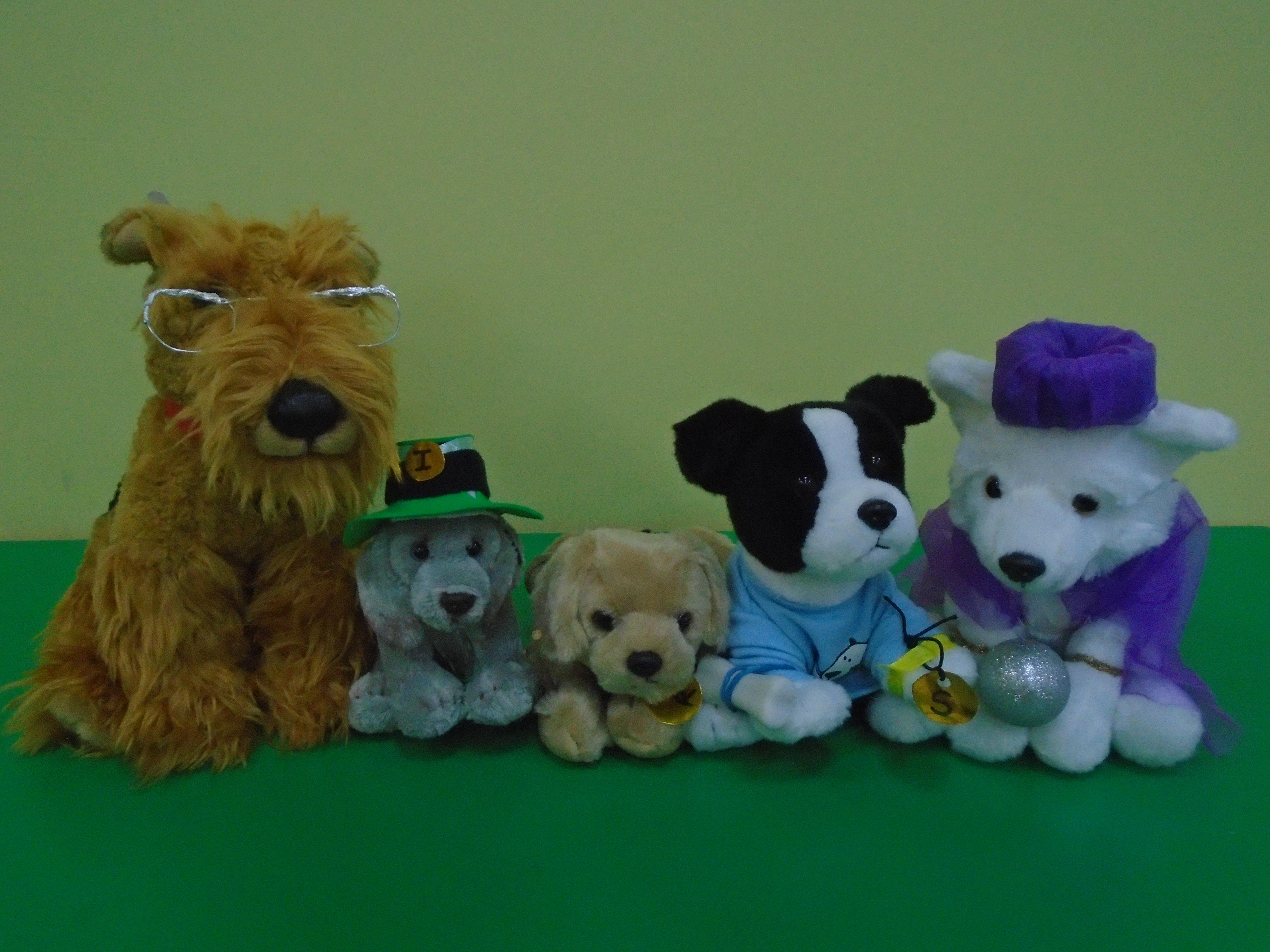 Meet Victor, Iggy, Rex, Suki & Pip!!